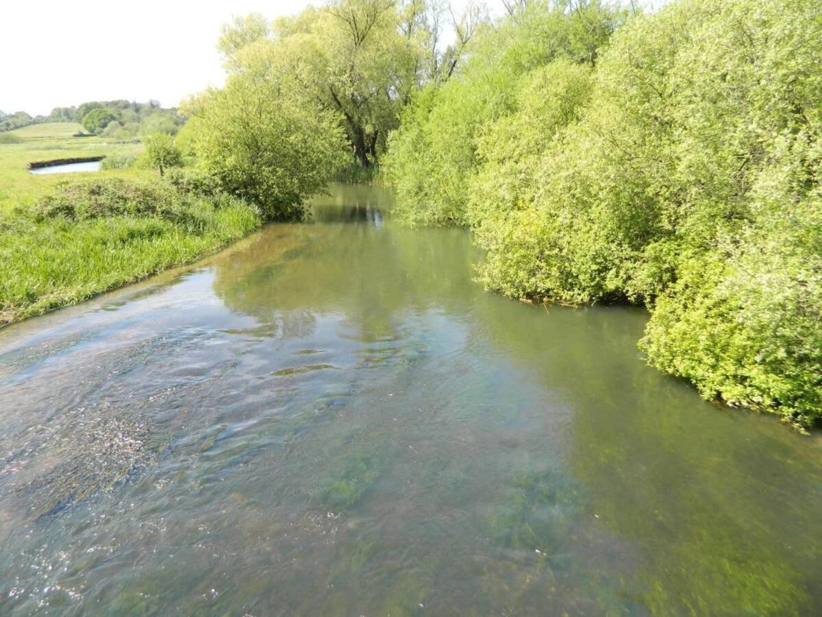 River Cottage A Country Retreat In Wooded Gardens East Stoke  المظهر الخارجي الصورة