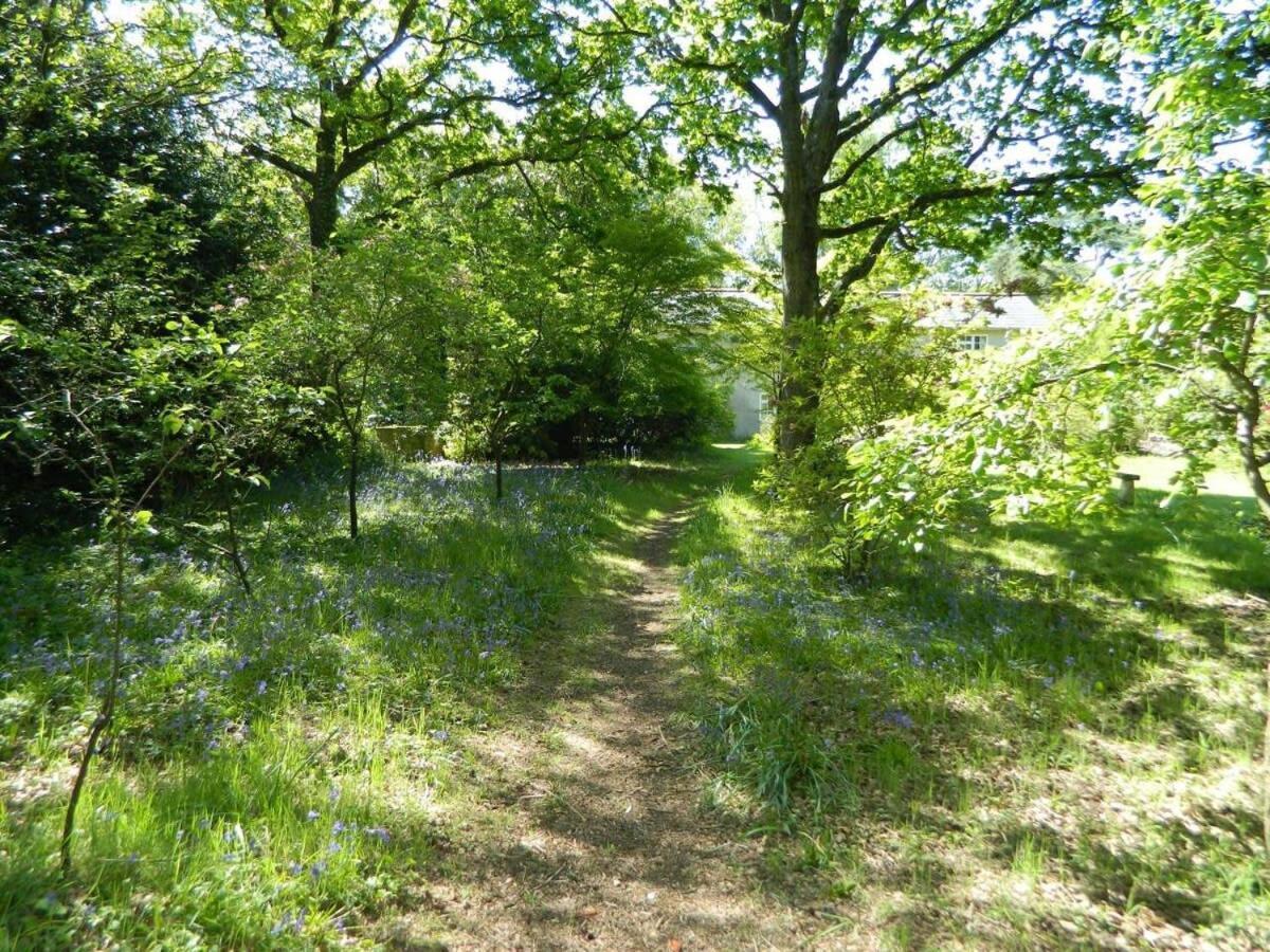 River Cottage A Country Retreat In Wooded Gardens East Stoke  المظهر الخارجي الصورة