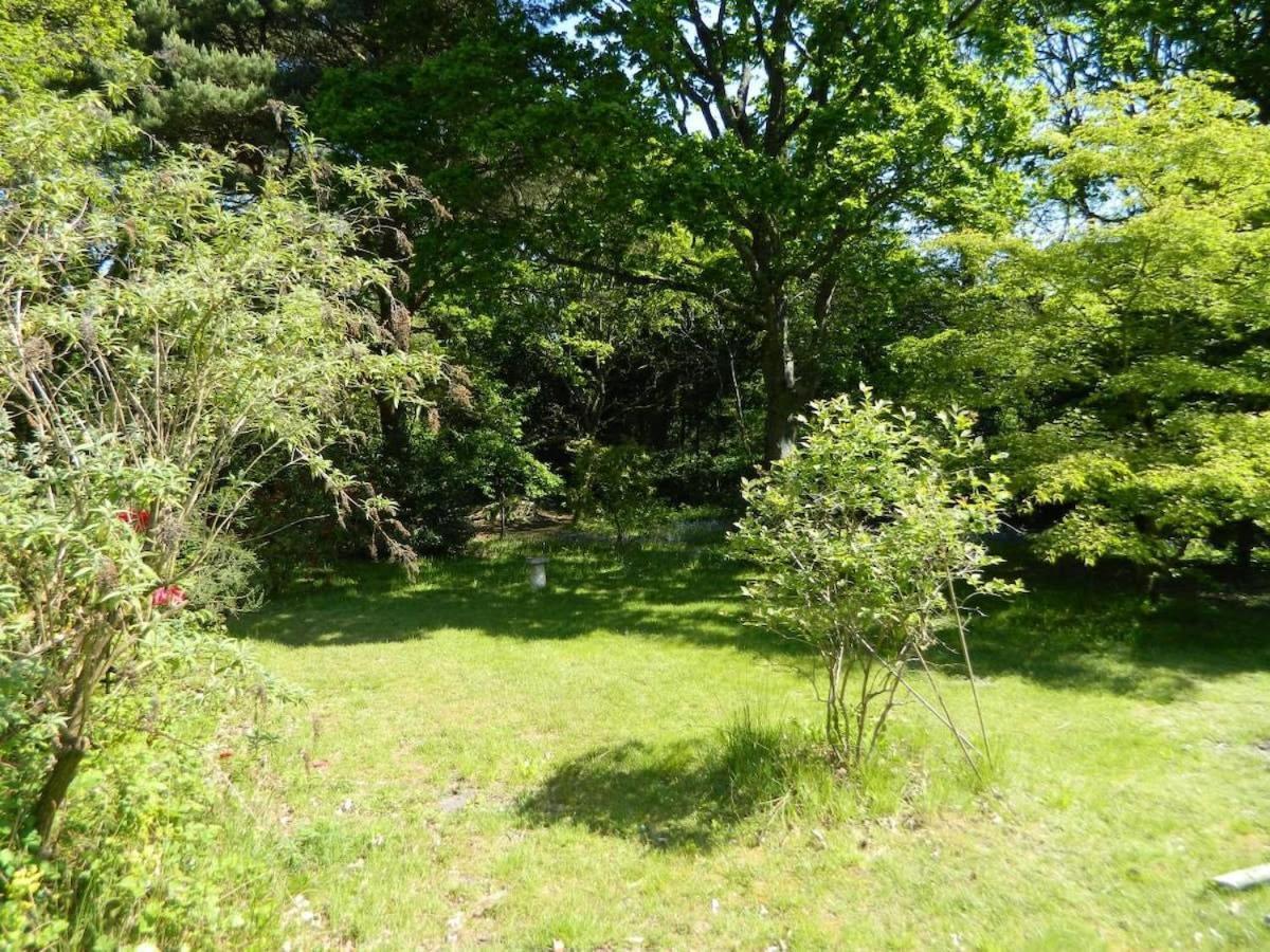 River Cottage A Country Retreat In Wooded Gardens East Stoke  المظهر الخارجي الصورة