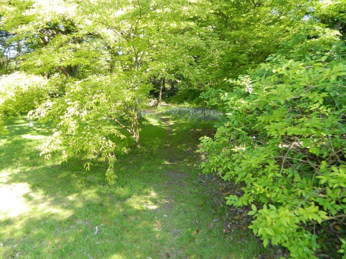 River Cottage A Country Retreat In Wooded Gardens East Stoke  المظهر الخارجي الصورة