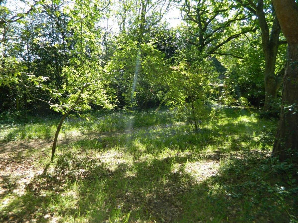 River Cottage A Country Retreat In Wooded Gardens East Stoke  المظهر الخارجي الصورة